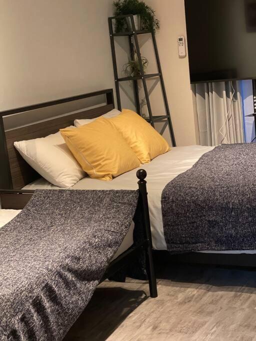 Apartamento 日本の下町新小岩デメテル202 *